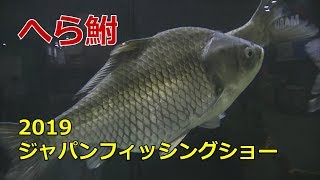 2019ジャパンフィッシングショー横浜へらぶなめぐりの旅 [upl. by Htebharas]