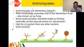 Actinomycetes [upl. by Chace]