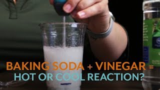 Vinegar and Baking Soda Reaction Heat Up or Cool Down [upl. by Davon]