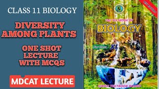 DIVERSITY AMONG PLANTS ONE SHOT PART 22  MCQS ALSO EXPLAINED  DOCTORS STOP BIOLOGY [upl. by Vinna232]