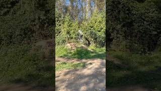 Maple ridge dirt jumps [upl. by Odnumde921]