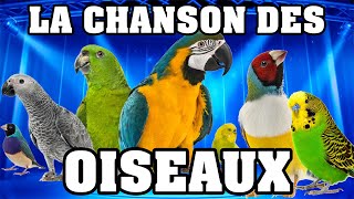 🐦 LA CHANSON DES OISEAUX 🐦 [upl. by Relda420]