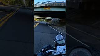 Suzuki SV1000 Rip Under Bridge [upl. by Regen]