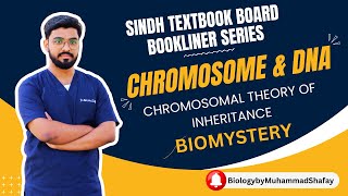 221 CHROMOSOMAL THEORY OF INHERITANCE I CHAPTER 22 CHROMOSOME amp DNA I CLASS XII [upl. by Bluh]