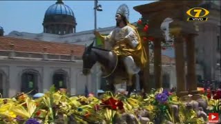 🔴Procesion Jesus de las Palmas 2023 CANAL 7 EN VIVO🔴 Domingo de Ramos Paso Catedral Guatemala [upl. by Maltzman145]