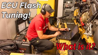 ECU Flash Tuning – What Is It [upl. by Aivatra]