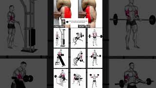 Bicep Long Head Exercise  Short Head Exercise 💪 bicepsworkout [upl. by Odo]