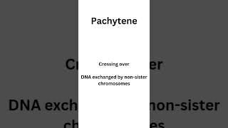 Meiosis Prophase 1 sub stages  Leptotene Zygotene Pachytene Diplotene and Diakinesis botany [upl. by Eisele]