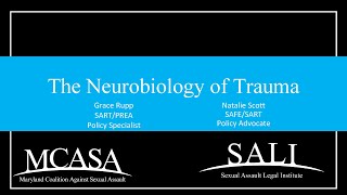 2924 SAVAT  The Neurobiology of Trauma [upl. by Chaworth]