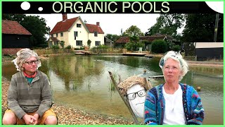 Making an OrganicNatural Pool with no liner [upl. by Anaerdna61]