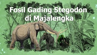 Gajah Purba Raksasa Stegodon Pernah Hidup di Majalengka [upl. by Assirol128]