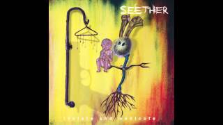 Seether  Crash [upl. by Butch]