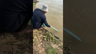 Rural fishing using cast net  Nimitt Fishing video Ep82 shorts fishing outdoors reels [upl. by Ecnar]