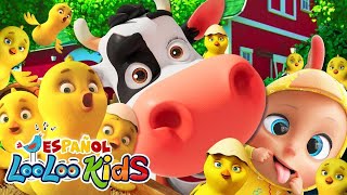 🔴A Ram Sam Sam  Los Pollitos y Las Mejores Canciones Infantiles LooLoo  LIVE  Vídeo Para Niños [upl. by Sobmalarah192]