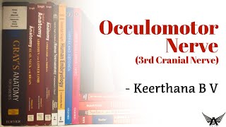 Oculomotor Nerve  3rd Cranial Nerve Neuroanatomy  Anatomy  Agam Webinars [upl. by Halilak]