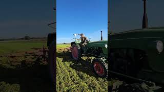 Kramer Oldtimer bei Gras schwaden🚜🎩🍀 [upl. by Ecyt]