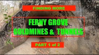 Finding HEAPS MORE Hidden Ferny Grove Gold Mines amp Tunnels Part 1 of 2 [upl. by Nestor35]