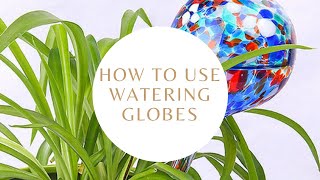 How to use Watering Globes [upl. by Godric]