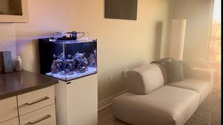 Nano Reef Tank Setup  Waterbox Cube 20 [upl. by Trescha699]