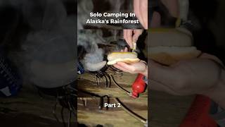 Warm Dinner in Alaska’s Rainforest 🌲🏕️ [upl. by Lefty186]