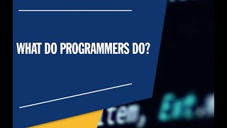 What Does a Programmer Do The Life of a Programmer [upl. by Fadil]