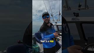 Fishing 20 miles offshore for bass Full video out now fishing bassfishing [upl. by Siloam]