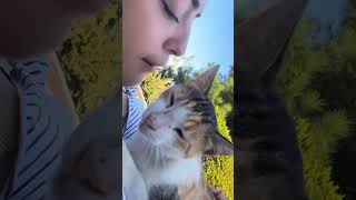 Sizler benim yaşama sebebim sizsiniz 😻 cat cat kedisesi kedi 🎥tuciximab [upl. by Akcirderf]