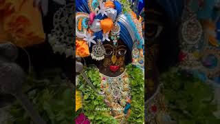 🌸 ISKCON Siliguri Wishes You a Blessed Govardhan Puja [upl. by Efron]