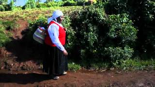 Flower power keeps Kenyas Lake Naivasha blossoming  the Guardian [upl. by Ecurb]