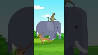 True Race  One Minute Story  Cartoons  cartoonanimal [upl. by Atalya865]