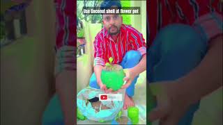 Nariyal Pani Peene ke bad Nariyal Ko Na fenke shorts garden coconut cocopeat [upl. by Sad]