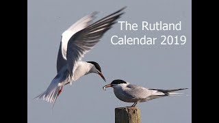 Rutland Calendar 2019 [upl. by Ahs]