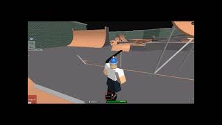 ROBLOX Skateboarding [upl. by Madancy]