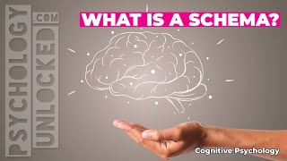 🧠 What is a schema 🧠 Cognitive Developmental Psychology [upl. by Handler]