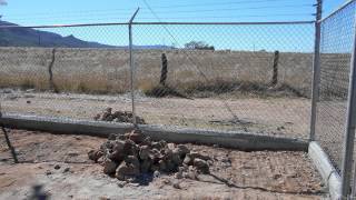 construcción del cerco perimetral de la escuela primaria Benito Juárez en la comunidad de aguajes de [upl. by Georgeta127]