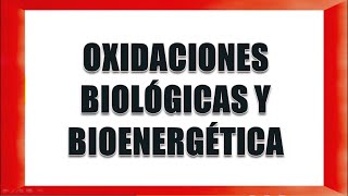 OXIDACIONES BIOLÓGICAS Y BIOENERGÉTICA [upl. by Erme358]