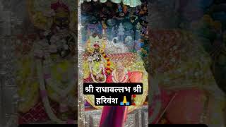 shri Radhe Vallabh shri harivansh song bakey bihari mughlo religion sanataniytshort ðŸ™ðŸ™ [upl. by Lucas]