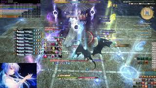 FFXIV  E5S SMN PoV 19749 rDPS  726 [upl. by Cardew77]