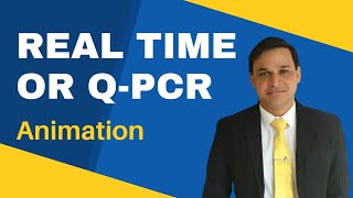 What is real time or quantitative PCR Animation  RT PCR  qPCR [upl. by Cullin]