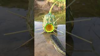 Survival Skills Simple and Useful with Pumpkin Fish trap survival bushcraft outdoors shrots [upl. by Aicilav]