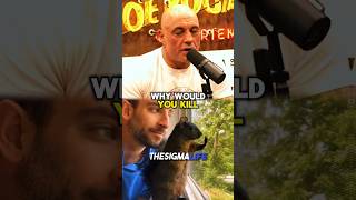 Rogan and Musk Moved by Peanut the Squirrel’s Story [upl. by Uwton]