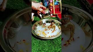 Laddu Gopal daily singarshortvideoviralvideo [upl. by Marba]