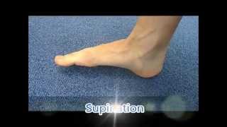 Ankle pronation and supination [upl. by Eitsyrhc]