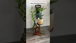 Amazon plant stand collect homedecor plantstand viral plants shortsviral garden homedecor [upl. by Naugal]