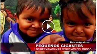 YUKY Y JOBDAN LOS ENANOS MAS TIERNOS DEL PERU HERMANOS YUKYS SON GEMELOS DE URIPA APURIMAC [upl. by Keeler]