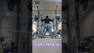 저속노화ㅡ근력운동 4종 ㅡ 풀업 스쿼드 푸쉬업 뒷발꿈치들기 [upl. by Hajidahk]