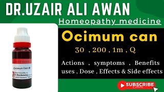 Ocimum canum Homeopathic medicine  Ocimum can 30  200  1m  Q Homeopathic medicine benefits [upl. by Ahsatam]