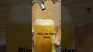 Watch the new download of my Pliny the Elder clone beer alcohol plinytheelder ipa dipa [upl. by Nora]