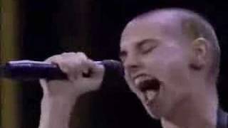 Sinead Oconnor  Mandinka LYRICS  FULL SONG [upl. by Car717]