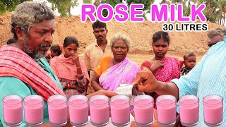 30 LITRES ROSE MILK Prepared by Daddy  Quick and Easy Rose Milk Recipe  Farmer Cooking [upl. by Skilken97]